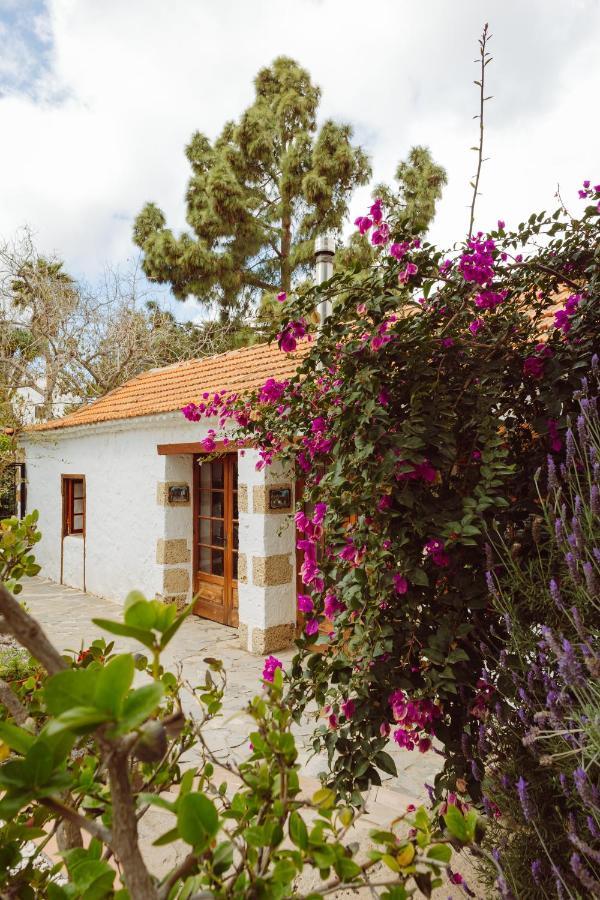 Ecoverode Hotel Emblematico Vegetariano Vegano Arona  Luaran gambar