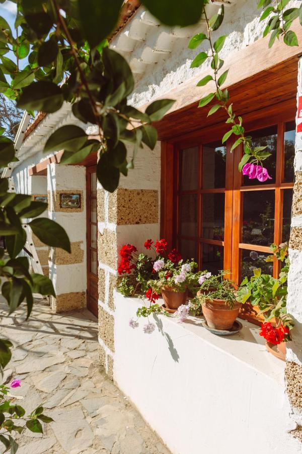Ecoverode Hotel Emblematico Vegetariano Vegano Arona  Luaran gambar